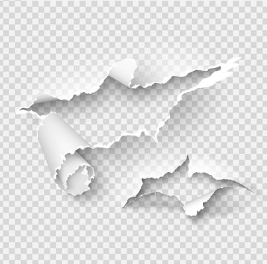 Yırtılmış kağıt vektör şablonu, gerçekçi Kağıt arka planda yırtık kenarlar ile kenarları yırtık. Web ve baskı ve metin için alan için afiş sökük yan seti.