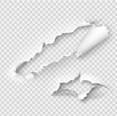 Yırtılmış kağıt vektör şablonu, gerçekçi Kağıt arka planda yırtık kenarlar ile kenarları yırtık. Web ve baskı ve metin için alan için afiş sökük yan seti.