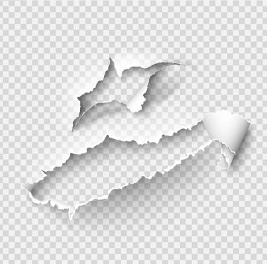 Yırtılmış kağıt vektör şablonu, gerçekçi Kağıt arka planda yırtık kenarlar ile kenarları yırtık. Web ve baskı ve metin için alan için afiş sökük yan seti.