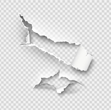 Yırtılmış kağıt vektör şablonu, gerçekçi Kağıt arka planda yırtık kenarlar ile kenarları yırtık. Web ve baskı ve metin için alan için afiş sökük yan seti.