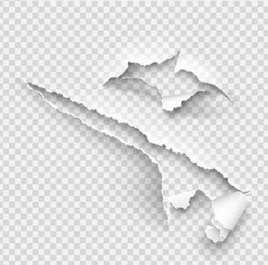 Yırtılmış kağıt vektör şablonu, gerçekçi Kağıt arka planda yırtık kenarlar ile kenarları yırtık. Web ve baskı ve metin için alan için afiş sökük yan seti.
