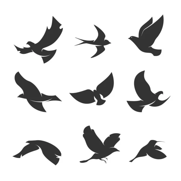 Conjunto de siluetas de aves en movimiento sobre un fondo blanco — Archivo Imágenes Vectoriales