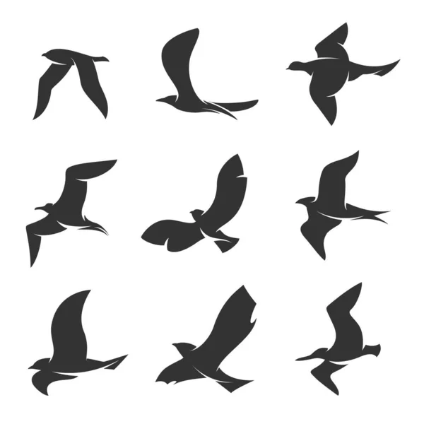 Ensemble de silhouettes d'oiseaux en mouvement sur fond blanc — Image vectorielle