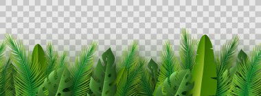 Saydam arka planda yaz palmiyesi yaprakları. Kusursuz desen.