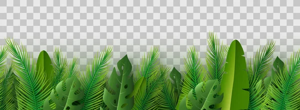 Летние Пальмовые Листья Прозрачном Фоне Бесшовный Рисунок Стоковая Иллюстрация