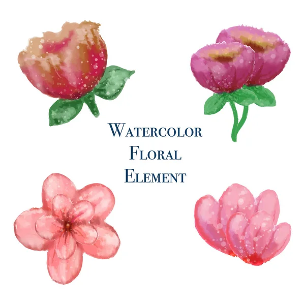 Vektör suluboya çiçek çeşitli türleri. Vektör suluboya kırmızı gül. Suluboya stili ile çiçek tasarım elemanları — Stok Vektör