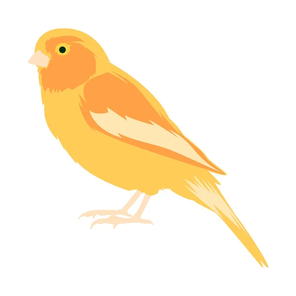 Векторні тварини кліп-арт. Векторна ілюстрація жовтого канарки — стоковий вектор