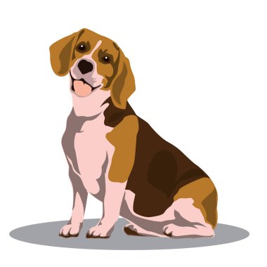Vektör küçük resim hayvan illüstrasyon. Köpek vektör illüstrasyon. Köpek vücut pozisyonu oturma İllüstrasyon