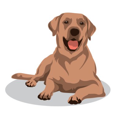 Küçük resim hayvan illüstrasyon. Köpek vektör illüstrasyon. Köpek vücut pozisyonu oturma İllüstrasyon