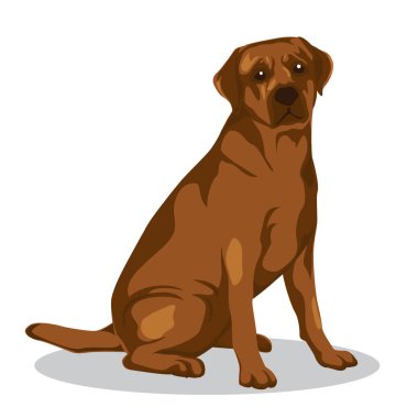 Vektör küçük resim hayvan illüstrasyon. Köpek vektör illüstrasyon. Köpek vücut pozisyonu oturma İllüstrasyon