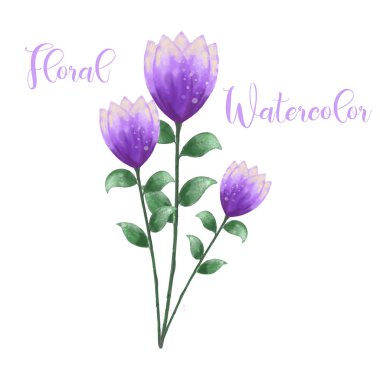 Çiçek suluboya tasarım elemanı. Suluboya çiçek vektör sanat