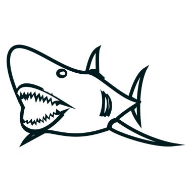 Shark line sanat vektör illüstrasyon. Shark basit anahat tasarımı