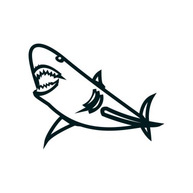 Shark line sanat vektör illüstrasyon. Shark basit anahat tasarımı