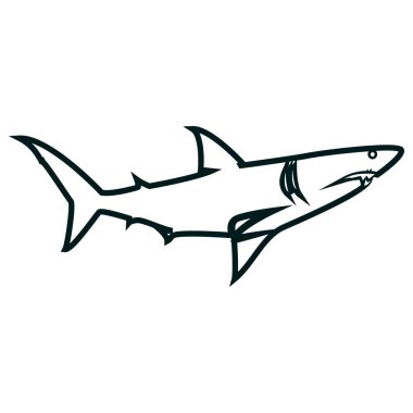 Shark line sanat vektör illüstrasyon. Shark basit anahat tasarımı