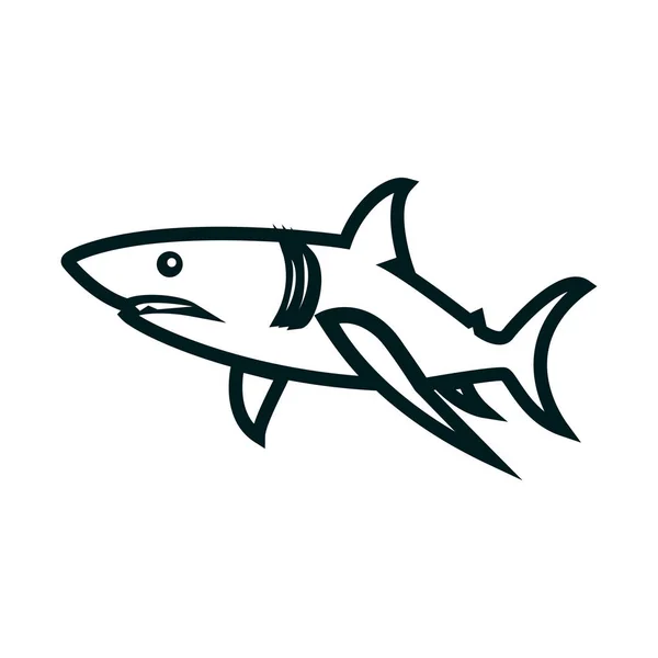 Shark line konst vektor illustration. Shark enkel kontur design — Stock vektor