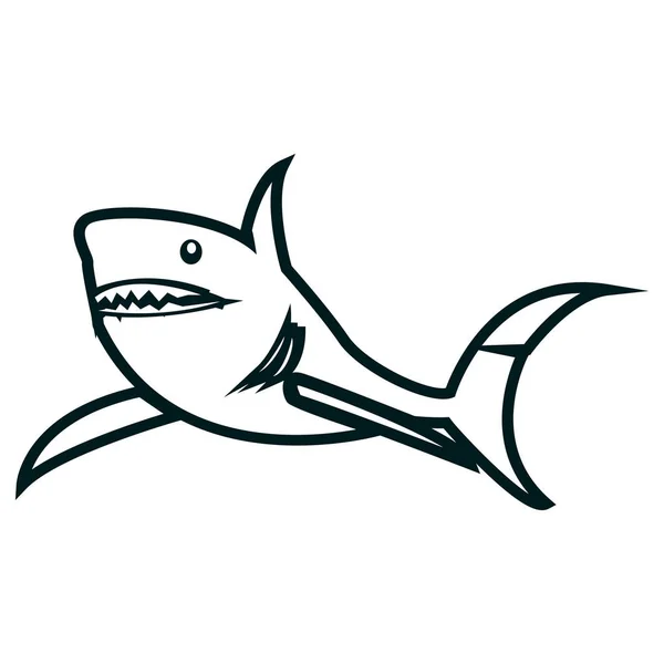 Shark line sanat vektör illüstrasyon. Shark basit anahat tasarımı