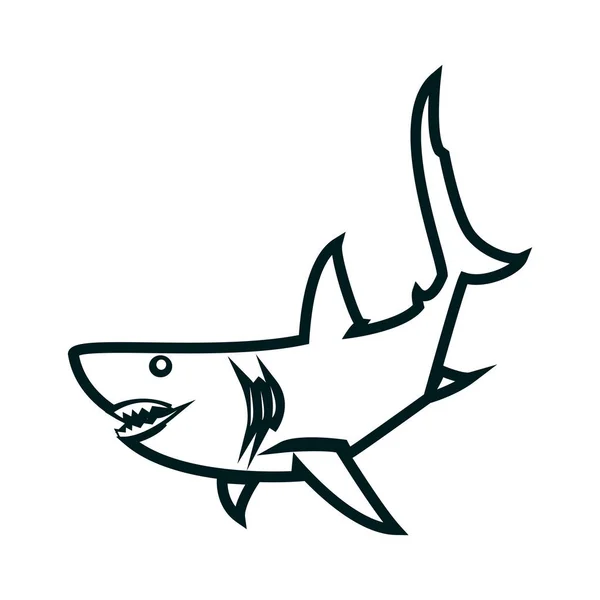 Shark line sanat vektör illüstrasyon. Shark basit anahat tasarımı