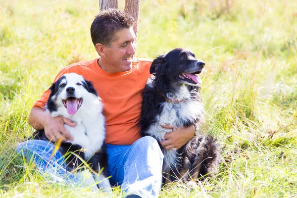 Sitting Field Warm Fall Day Takes Break Walk His Australian — Stock Photo, Image