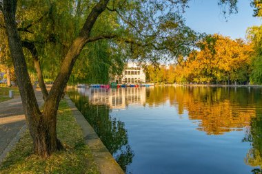 Chios Gölü içinde Kaloşvar Central Park'ta güzel bir sonbahar güneşli Romanya.