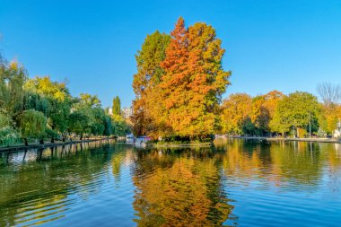 Chios Gölü içinde Kaloşvar Central Park'ta güzel bir sonbahar güneşli Romanya