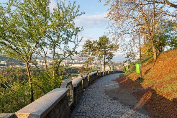 Aleja na Park Cetatuia, znany jako wzgórzu Cetatuia, w słoneczny dzień w mieście Kluż-Napoka, Rumunia — Zdjęcie stockowe