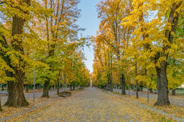 Kluż-Napoka Central Park piękny jesienny słoneczny dzień w Rumunii — Zdjęcie stockowe