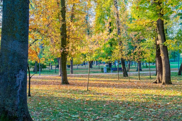 Kluż-Napoka Central Park piękny jesienny słoneczny dzień w Rumunii — Zdjęcie stockowe