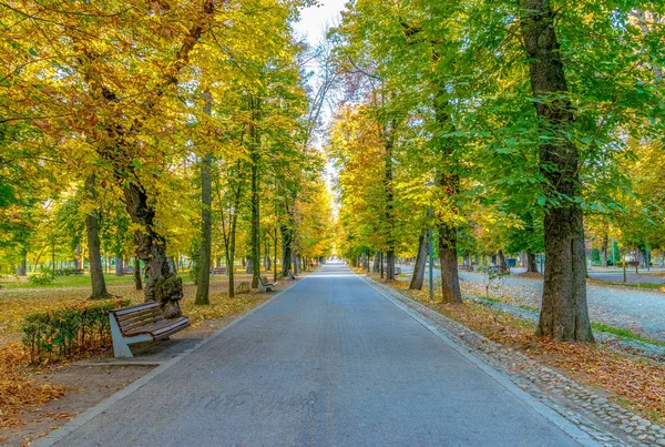 Cluj-napoca central park an einem schönen sonnigen Herbsttag in Rumänien — Stockfoto