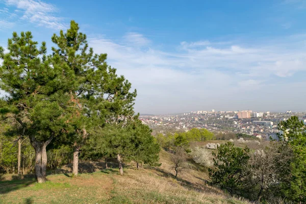 Valea Morilor Park on a sunny day in Chisinau, Republic of Moldova — Stock Photo, Image