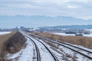 Demiryolu hatları Transylvania'da yakın bir dağ bölgesine görüntülemek
