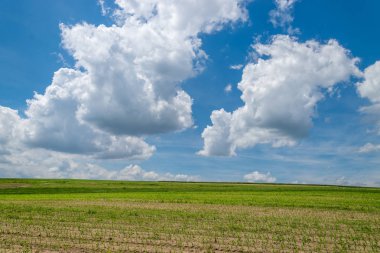 Mavi gökyüzü beyaz kabarık bulutlar ile ve bir Mısır olan bir alana