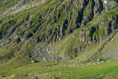 Balea Gölü sorroundings Transylvania'da görünümünü