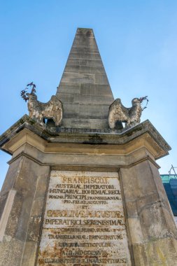 Carolina Dikilitaş Müze Meydanı Cluj Napoca, Romanya 