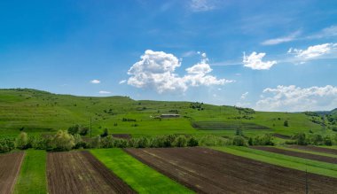 Mavi gökyüzü karşı güzel tarım alanları