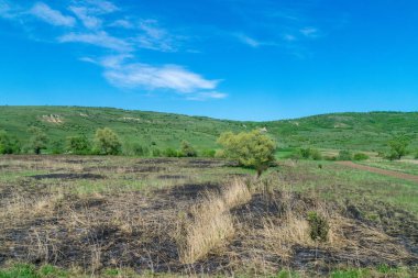 Mavi gökyüzü ile güneşli bir alan yandı