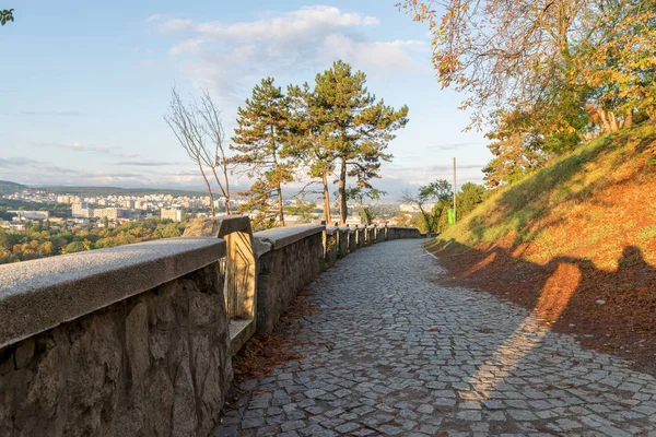 Callejón en el Parque Cetatuia, conocido como Cetatuia Hill, en un soleado d —  Fotos de Stock