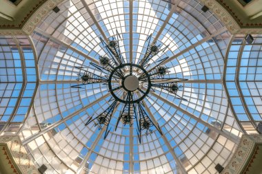 Oradea - siyah kartal Stones Oradea, Romanya Birliği Meydanı'nın yanında