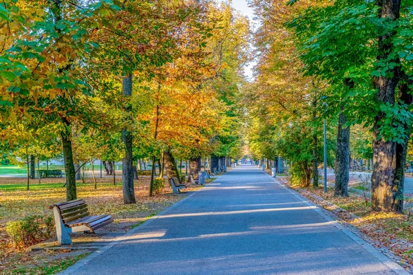 Cluj-Napoca Central Park en un hermoso día soleado de otoño en Rumania . —  Fotos de Stock