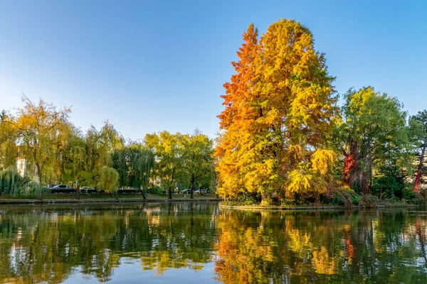 Chios Gölü içinde Kaloşvar Central Park'ta güzel bir sonbahar güneşli Romanya.
