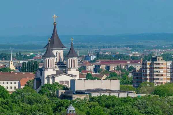 Oradea - piskoposluk Katedrali yukarıdan izlendi Oradea, Romanya