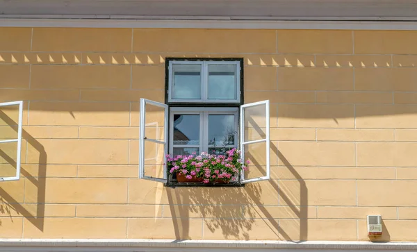 Sibiu, Romanya bir güneşli yaz gününde pembe çiçekli güzel pencere