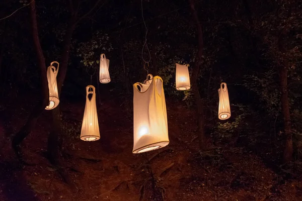 SIBIU, ROMANIA - 9 June, 2018: Compagnie Carabosse, French fire alchemists, created a Fire Garden at the Sibiu International Theatre Festival 2018. — Stock Photo, Image