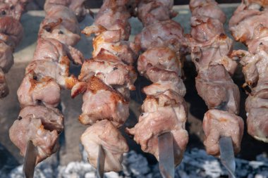 Moldova kırsal alanda kömürlerin üzerinde hazırlanan sulu şişleri