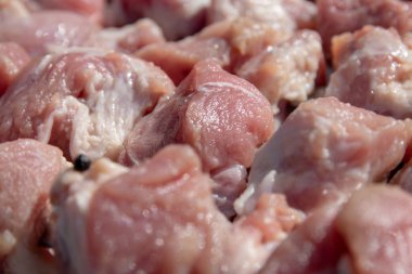 Moldova kırsal alanda kömürlerin üzerinde hazırlanan sulu şişleri