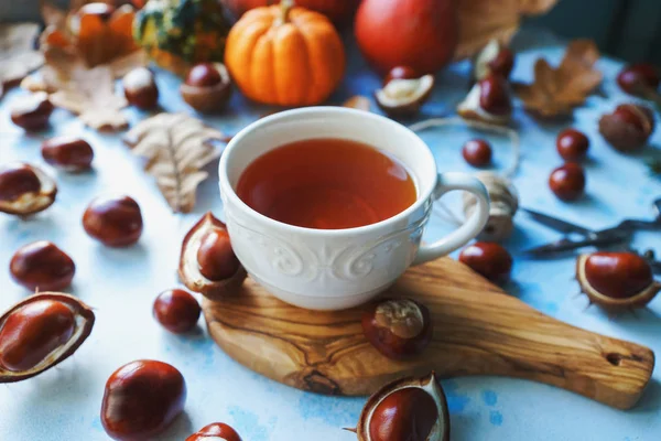 Cozy autumn morning with cup of tea, decorative pumpkins, nuts, corns, chestnuts and autumn leaves on light blue background
