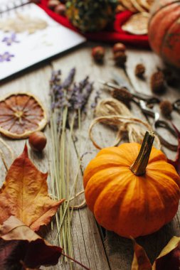 Rahat sonbahar arka plan, defter, dekoratif pumpkins, kurutulmuş portakal, fındık, tarçın ve sonbahar yaprakları