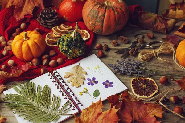 Cozy autumn background, notebook, decorative pumpkins, dried oranges, nuts, cinnamon and autumn leaves