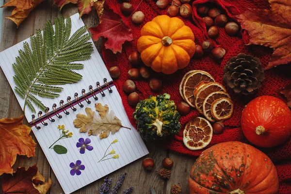 Cozy autumn background, notebook, decorative pumpkins, dried oranges, nuts, cinnamon and autumn leaves