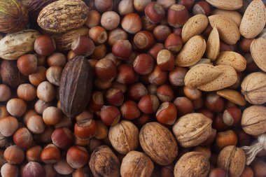 arka planı olarak çeşitli fındık doku