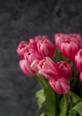 taze Pembe lale buketi yakın çekim 